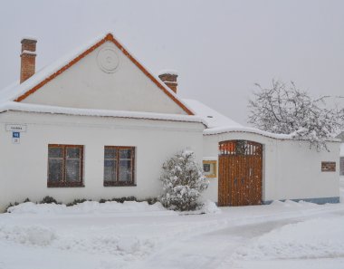 Měnič obrázků - fotografie